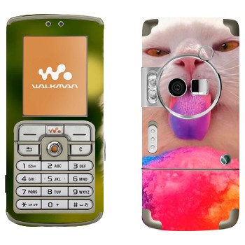 Sony Ericsson W700