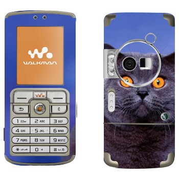   «-»   Sony Ericsson W700