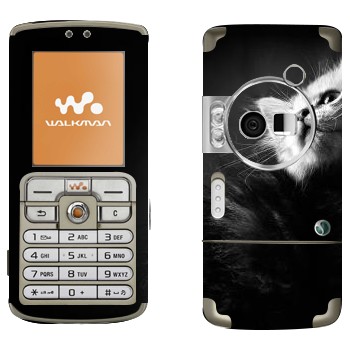   « -»   Sony Ericsson W700