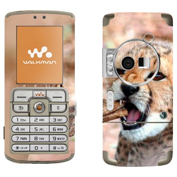   « »   Sony Ericsson W700