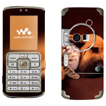   «  »   Sony Ericsson W700