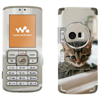   «  »   Sony Ericsson W700