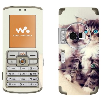 Sony Ericsson W700