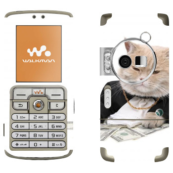   «»   Sony Ericsson W700