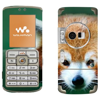   « »   Sony Ericsson W700