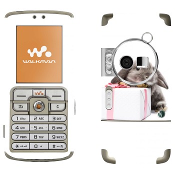 Sony Ericsson W700