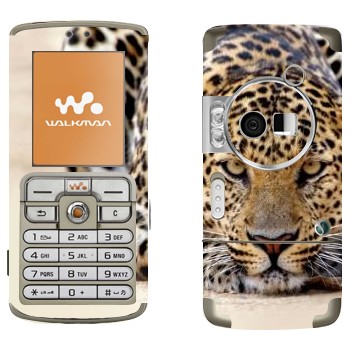 Sony Ericsson W700