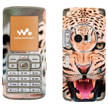 Sony Ericsson W700