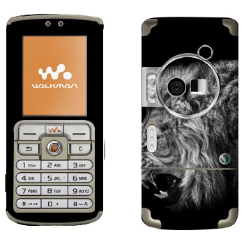 Sony Ericsson W700