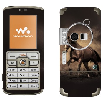 Sony Ericsson W700