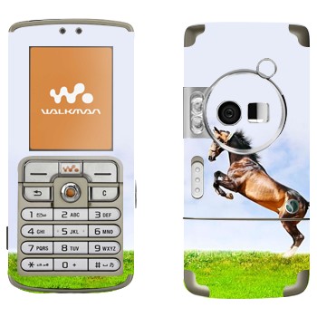   «    »   Sony Ericsson W700