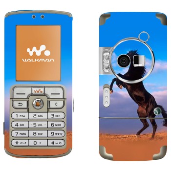 Sony Ericsson W700