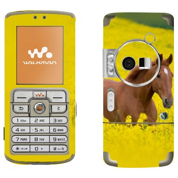 Sony Ericsson W700