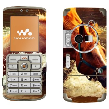   «  »   Sony Ericsson W700