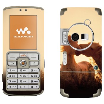 Sony Ericsson W700