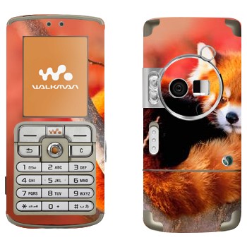 Sony Ericsson W700