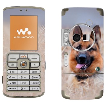   «  »   Sony Ericsson W700