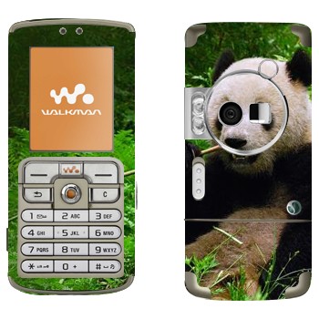   «  »   Sony Ericsson W700