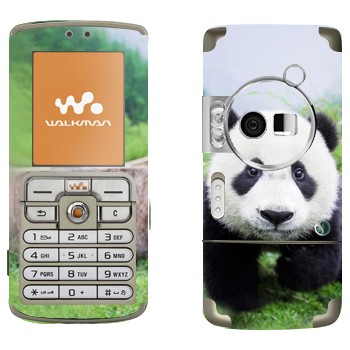   «  »   Sony Ericsson W700