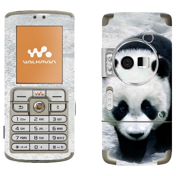 Sony Ericsson W700