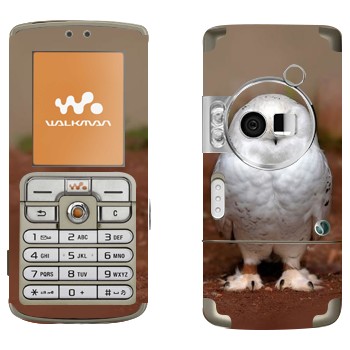 Sony Ericsson W700