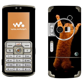   «     »   Sony Ericsson W700