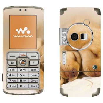   « »   Sony Ericsson W700