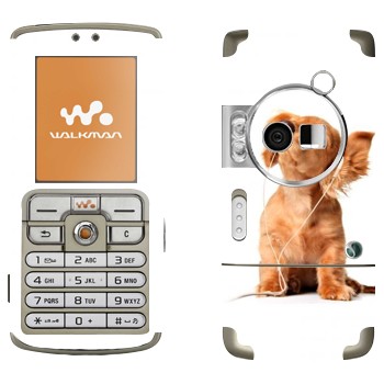 Sony Ericsson W700