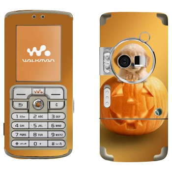 Sony Ericsson W700