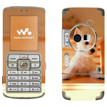   «  »   Sony Ericsson W700