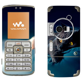 Sony Ericsson W700