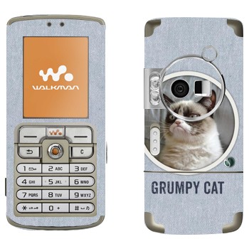   «  »   Sony Ericsson W700