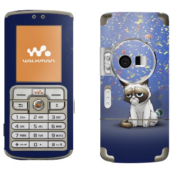 Sony Ericsson W700