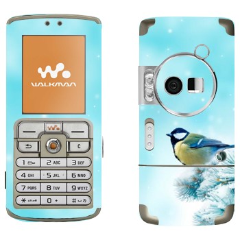 Sony Ericsson W700