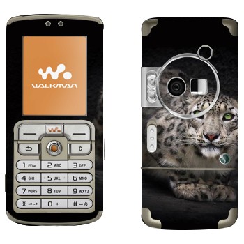 Sony Ericsson W700