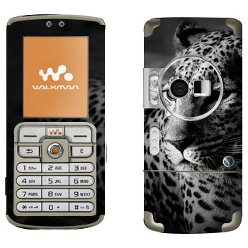 Sony Ericsson W700