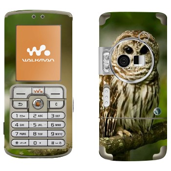 Sony Ericsson W700