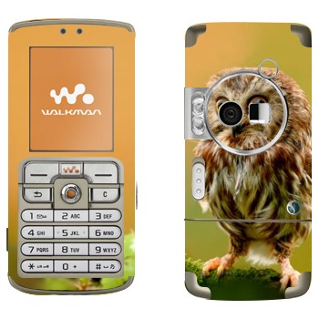 Sony Ericsson W700