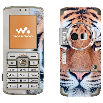 Sony Ericsson W700