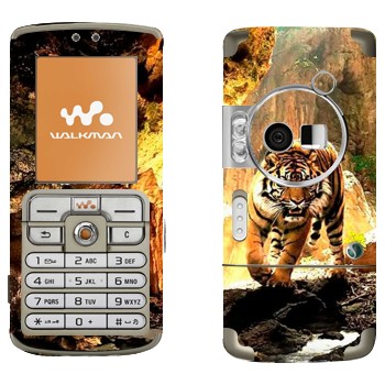 Sony Ericsson W700