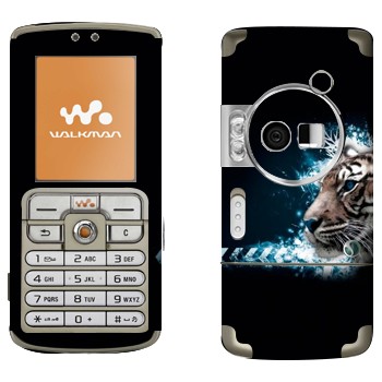 Sony Ericsson W700