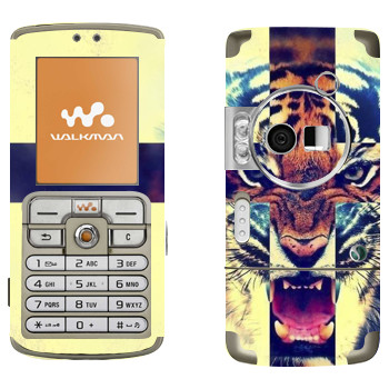 Sony Ericsson W700