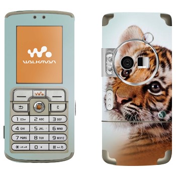   «»   Sony Ericsson W700