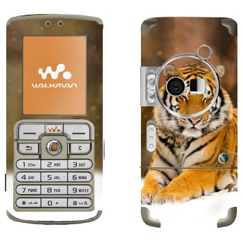 Sony Ericsson W700