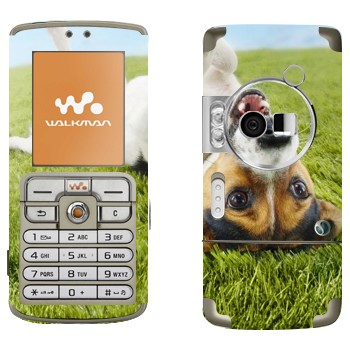   «   »   Sony Ericsson W700