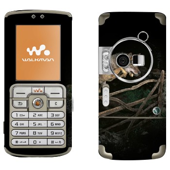 Sony Ericsson W700