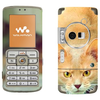   «  »   Sony Ericsson W700