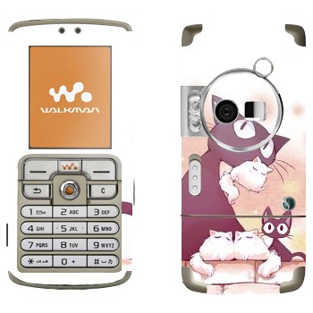   «-  »   Sony Ericsson W700