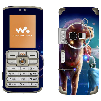 Sony Ericsson W700