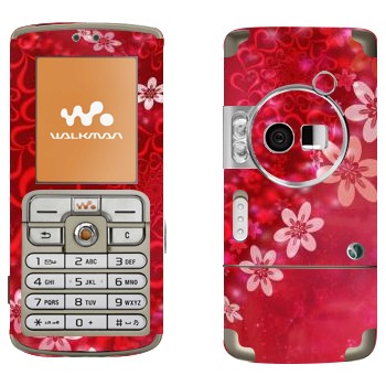   «      »   Sony Ericsson W700